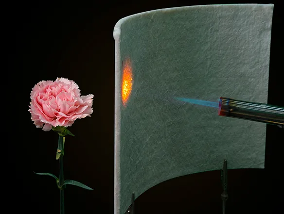 Fire Prevention and Fire Safety