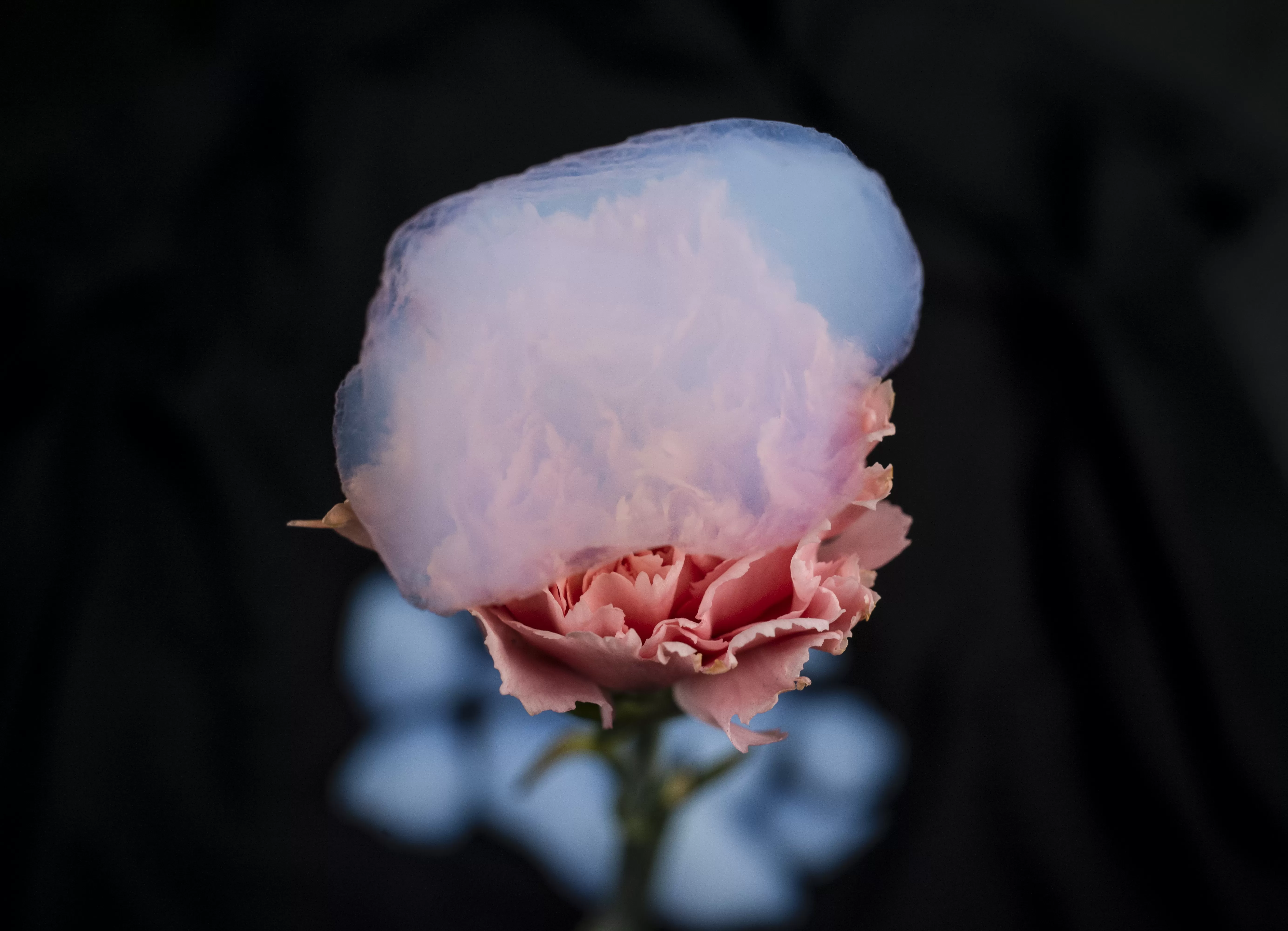 The Hidden Insulation Revolution That’s Making Net-Zero Targets Actually Achievable